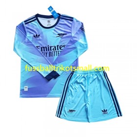 Fußballtrikots Arsenal Kinder 2024-2025 Langarm 3rd trikot kaufen